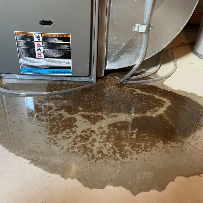 Appliance Leak Cleanup in Richlands, NC